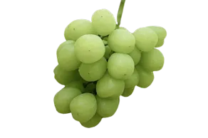 ドライフルーツ 潤果「葡萄」の画像